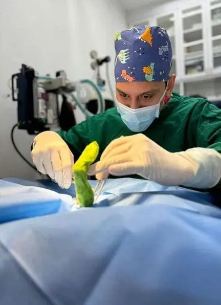 Dr. Hazman Mustaffer, Msian vet in Kedah