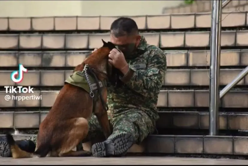Netizens Saddened Over Loki's Last Moments With Its Owner During National Day Celebration