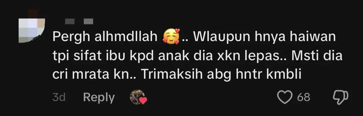 M'sian Man Saves Kitten Trapped Beneath Container Truck, Reunites It With Mother comment 2