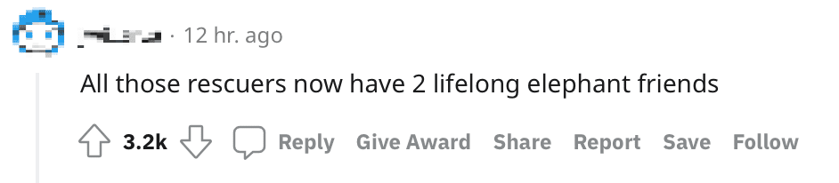 [VIDEO] Elephant Mother And Calf Rescued From Manhole Dramatically In Thailand