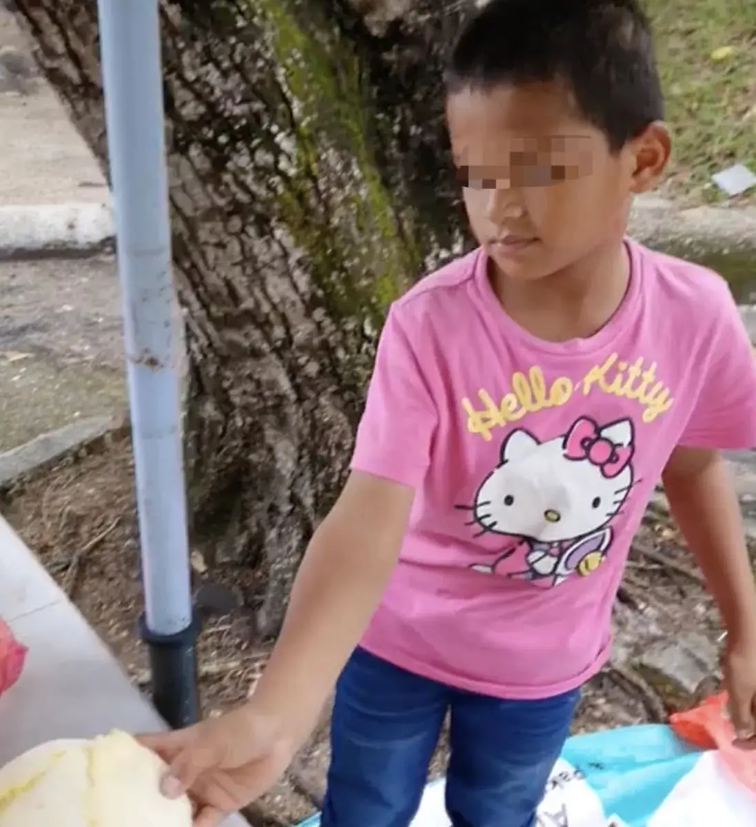 10yo M'sian boy spends Hari Raya by selling vegetables at TTDI alone 02