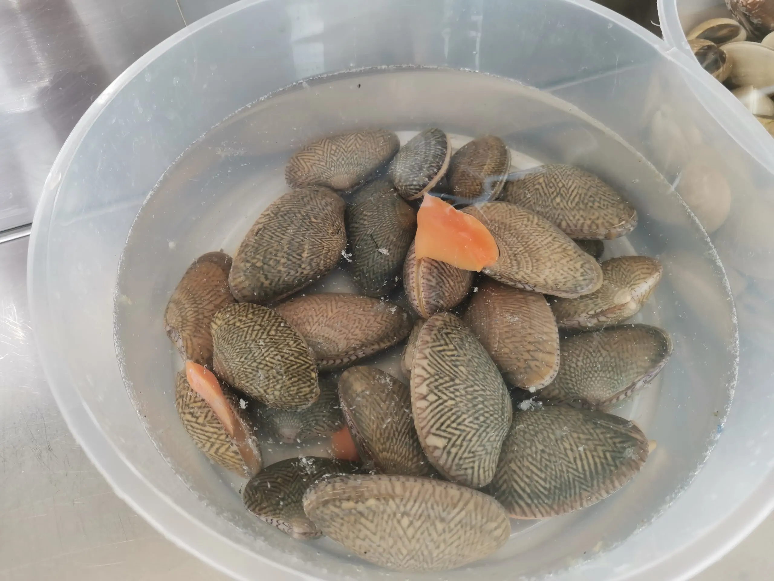 Hai Kah Lang Golden Clam