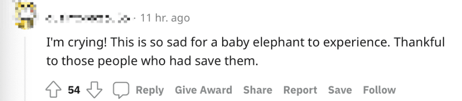 [VIDEO] Elephant Mother And Calf Rescued From Manhole Dramatically In Thailand