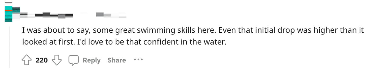 [VIDEO] Sailor Praised For Jumping Into Sea To Save Cat Trapped On Ship's Bow