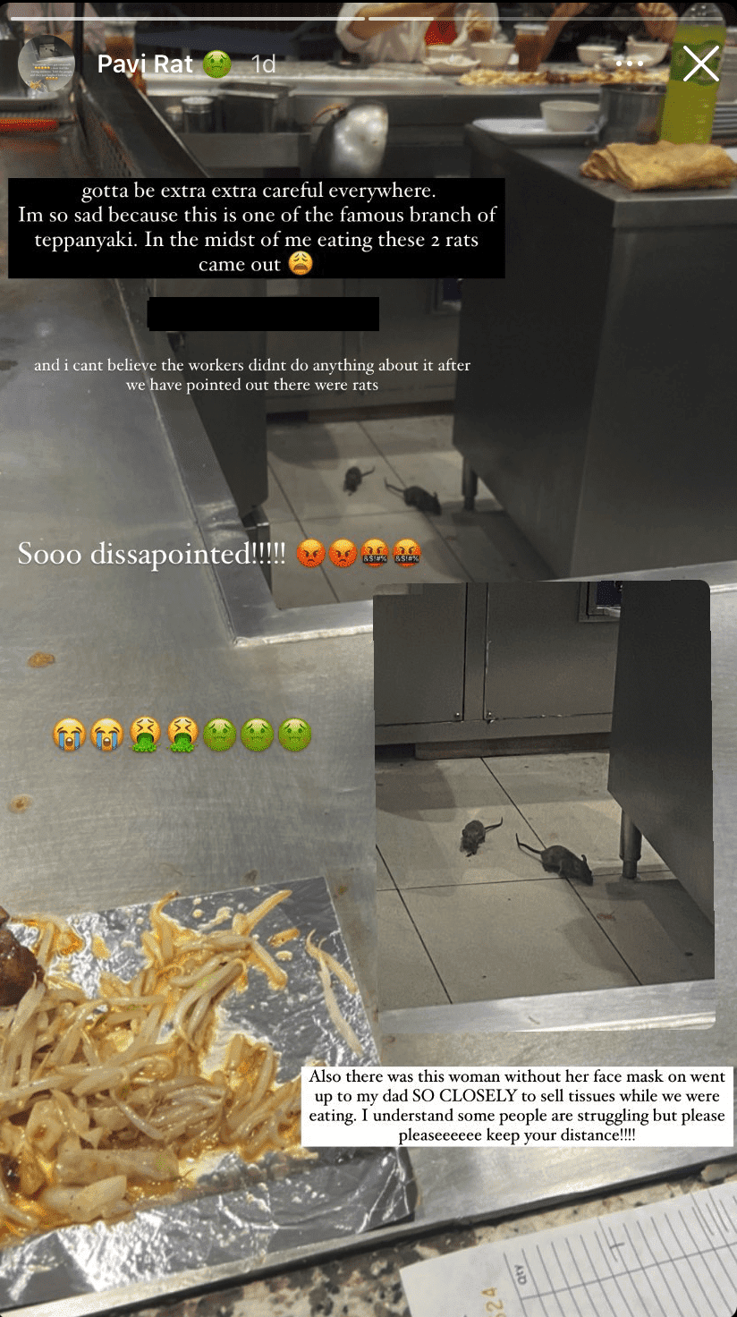 2 rats spotted running freely in Teppanyaki restaurant in KL1
