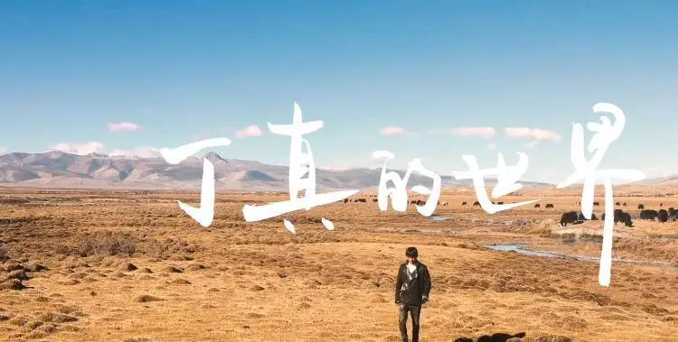 Tenzin: The rise of a Tibetan influencer from the Sichuan province