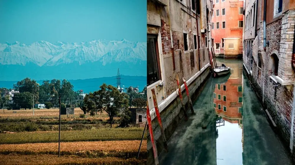 8 Good News in 2020, the WORST year ever, as TIME declared