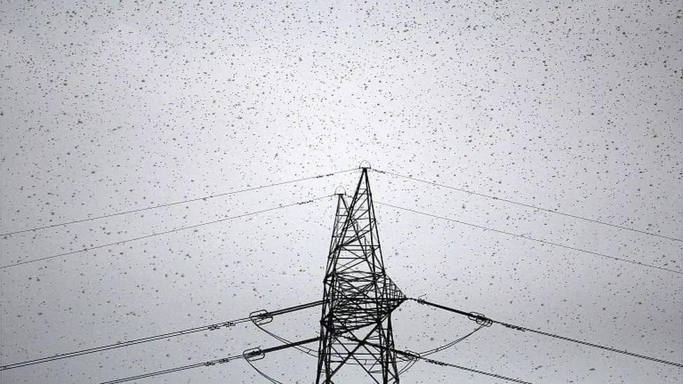 2020 Recap: Everything you forgot happened