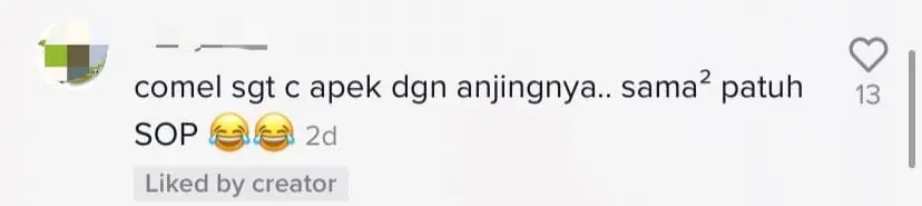 Adorable dog goes viral for wearing a mask while on a motorcycle ride