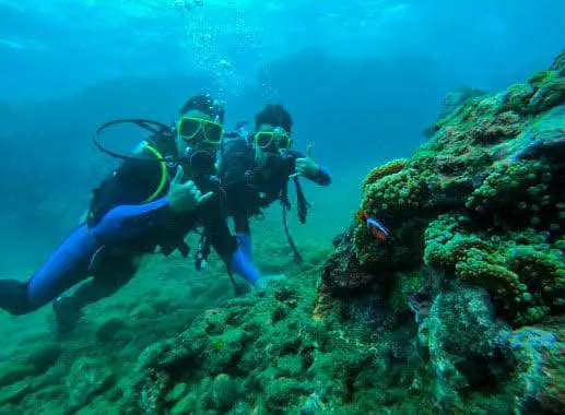 Now or Never: Gym enthusiast aims to buff Malaysia's gym culture