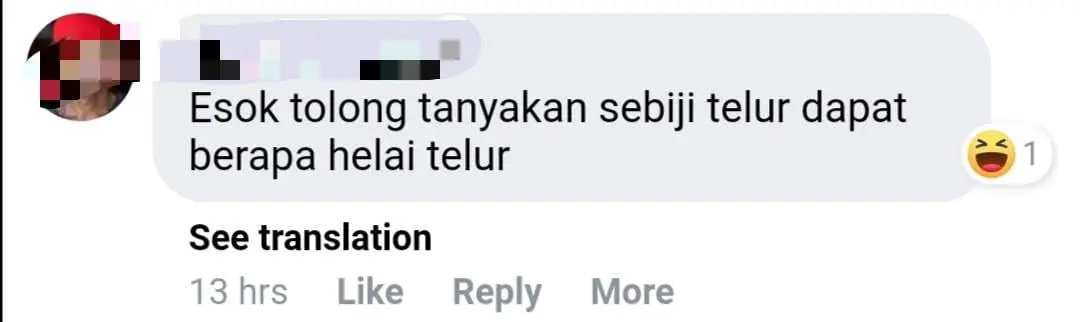 "SIM card egg?" Nasi Lemak with razor-thin egg slice amuses netizens