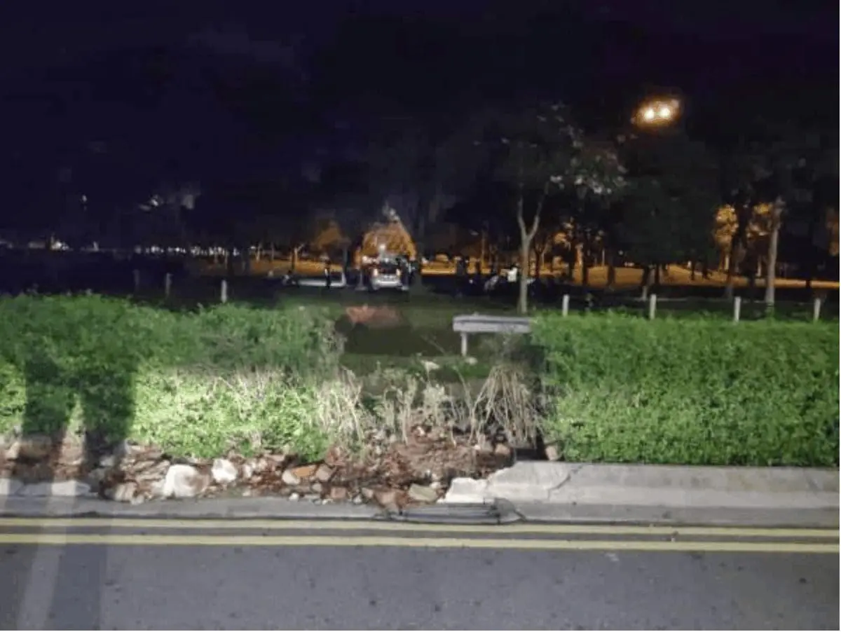 "Myvi, the King of national cars!" Owners plaster "Myvi" logo on their imported cars
