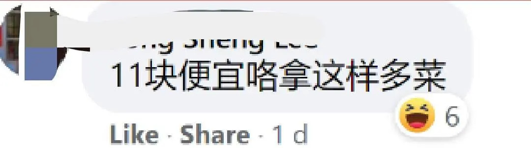 "Just veggies and egg, no meat!" Customer cries foul over RM11 economy rice