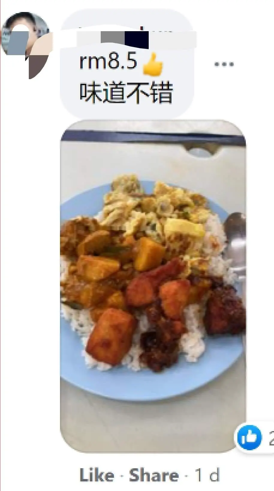 "Just veggies and egg, no meat!" Customer cries foul over RM11 economy rice