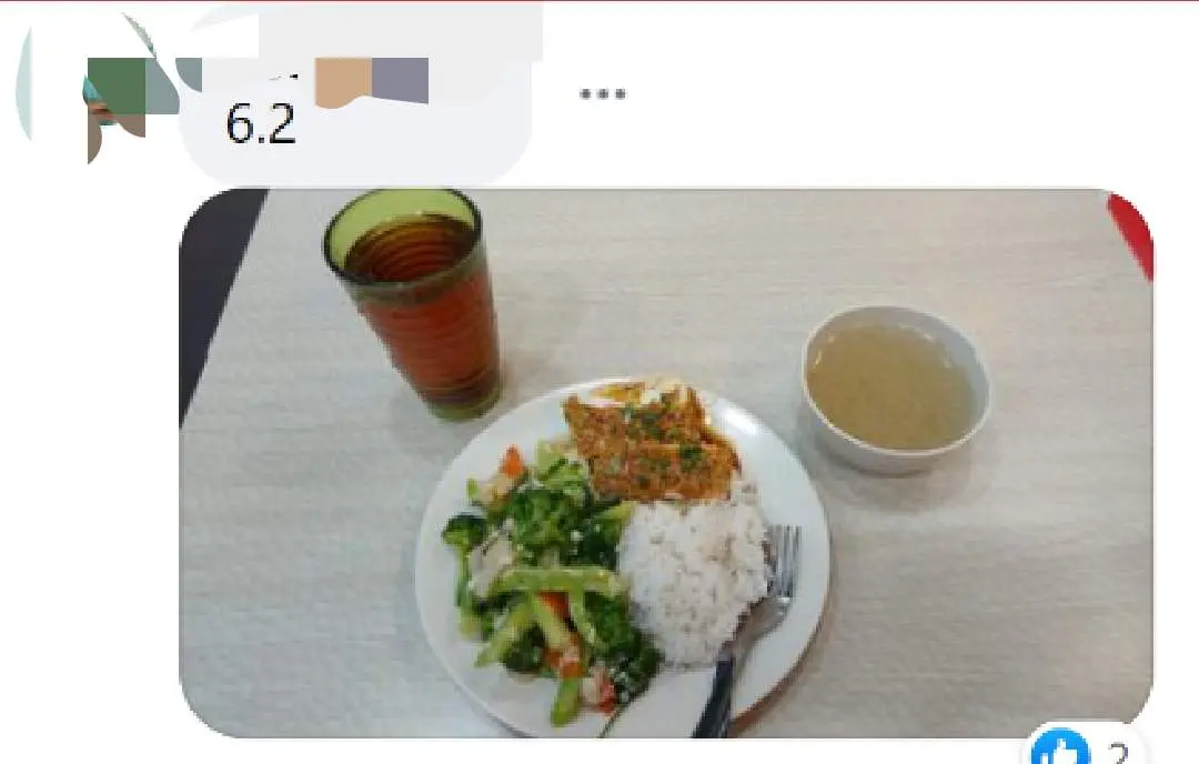 "Just veggies and egg, no meat!" Customer cries foul over RM11 economy rice