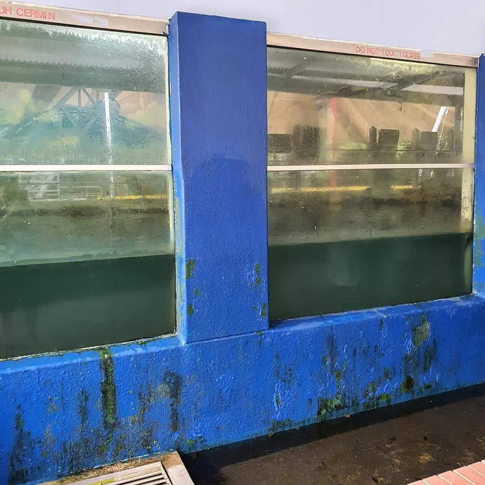 [PHOTOS] "Smelly and filthy!" Malaysian laments over poor conditions in Zoo Negara