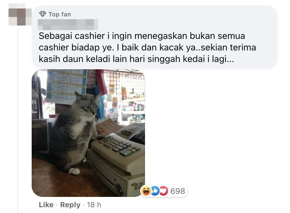 IKEA cashier allegedly berates customer for not bringing sufficient cash |