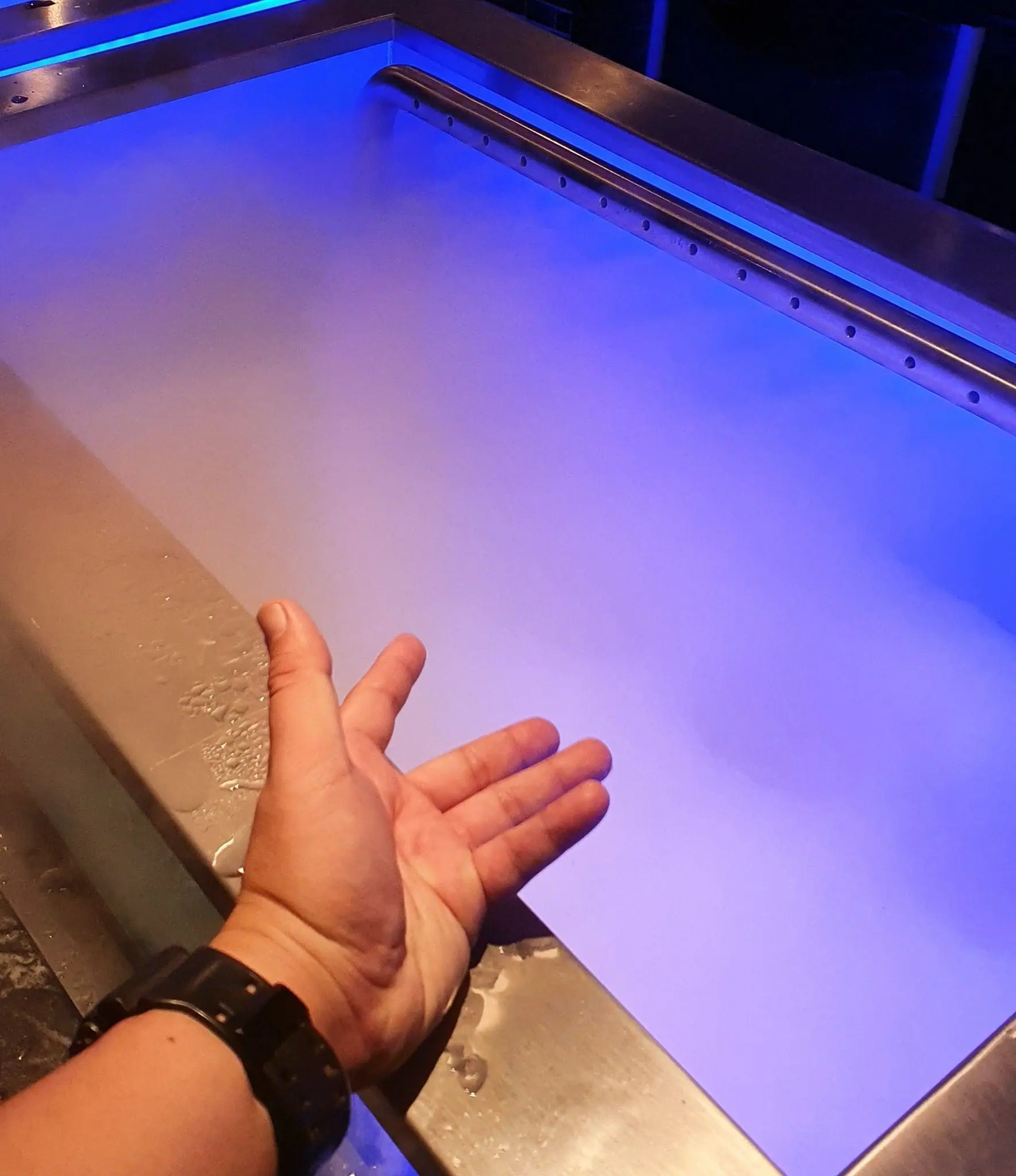 Is Jogoya the top Japanese buffet place? This food blogger doesn't think so