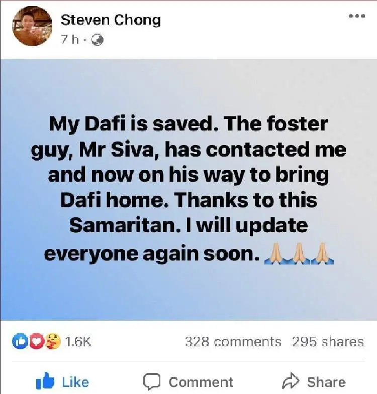 Motorists band together to rescue a lost dog from heavy traffic at Jalan Cheras