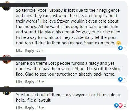 UPDATE: Pet centre refuses to fulfill agreement to pay RM2,000 reward over missing dog