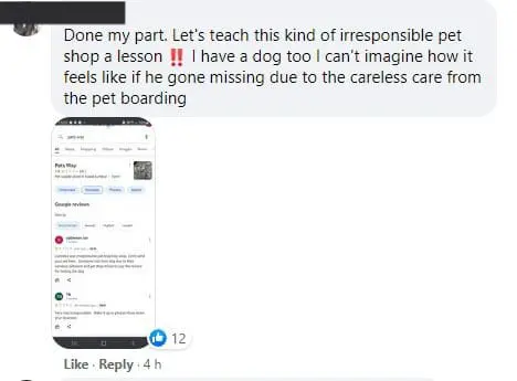 UPDATE: Pet centre refuses to fulfill agreement to pay RM2,000 reward over missing dog