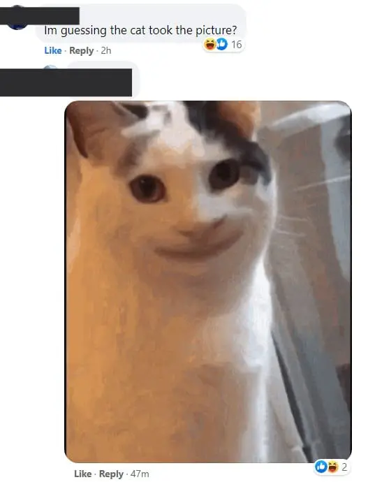 "Help to put the chicken back into the cage" Food rider shares amusing order request