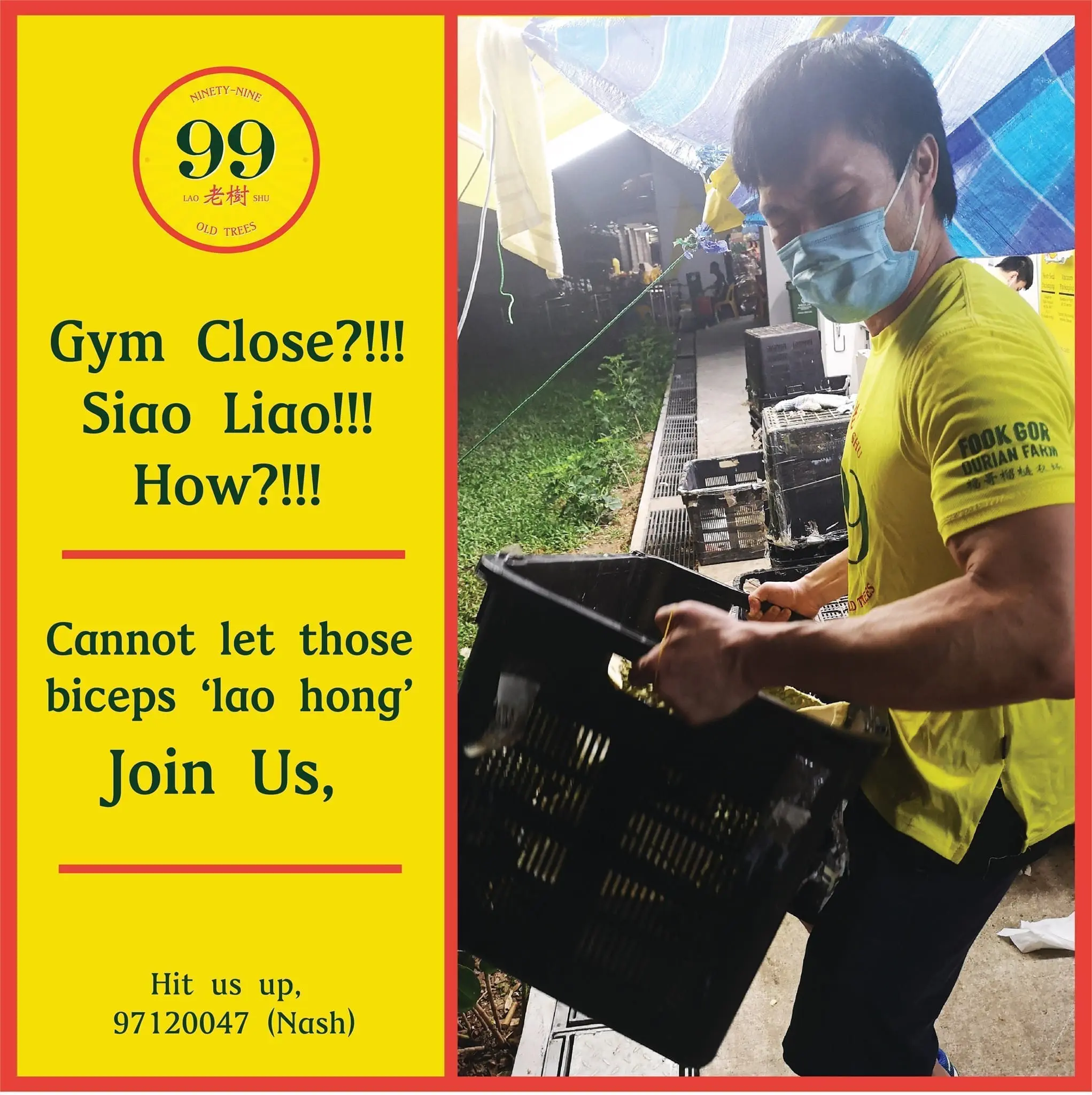 S'pore durian store looking for "noobs" to sell durians with a salary of up to RM10.8K