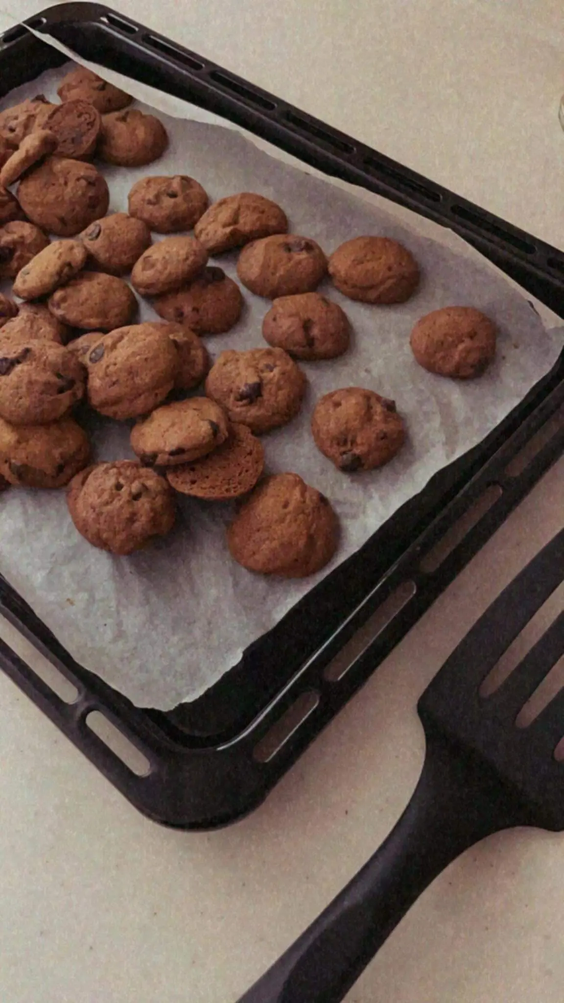 Eight 19yo students' start-up business sell cookies to buy laptops for the needy