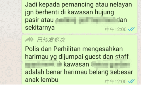 Public told to stay away from forest area after tourist claims to have spotted a tiger