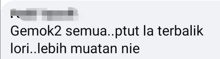 Truck carrying dozens of pigs loses control and skids off the highway