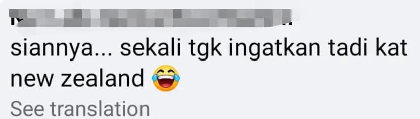 Truck carrying dozens of pigs loses control and skids off the highway