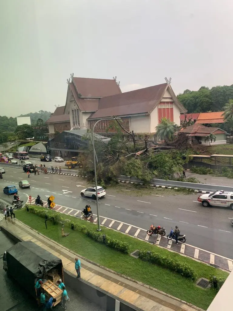 Giant tree fell on two vehicles in front of National Museum after downpour