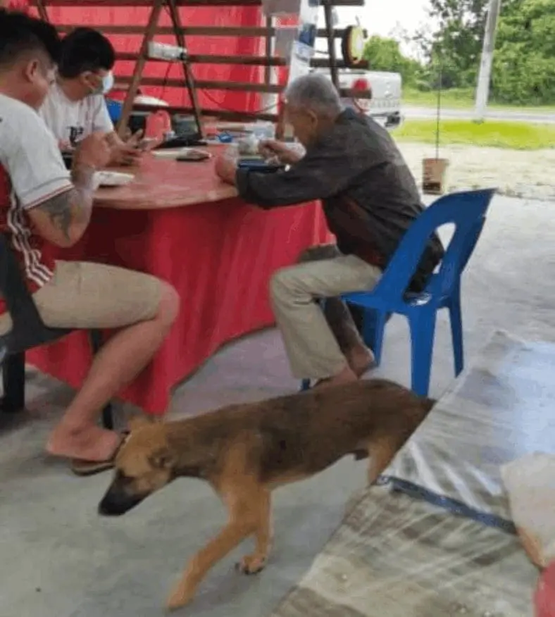 Octogenarian unwittingly travels interstate for 80km after losing his way