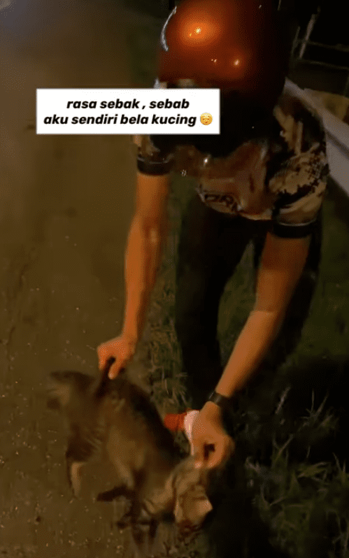Cat mourns over its friend's death after a young man saves them from a busy road