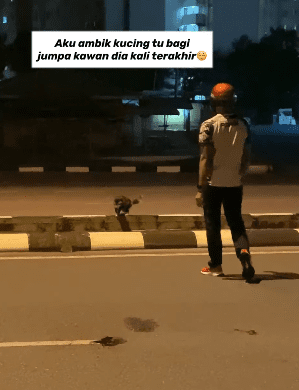 Cat mourns over its friend's death after a young man saves them from a busy road
