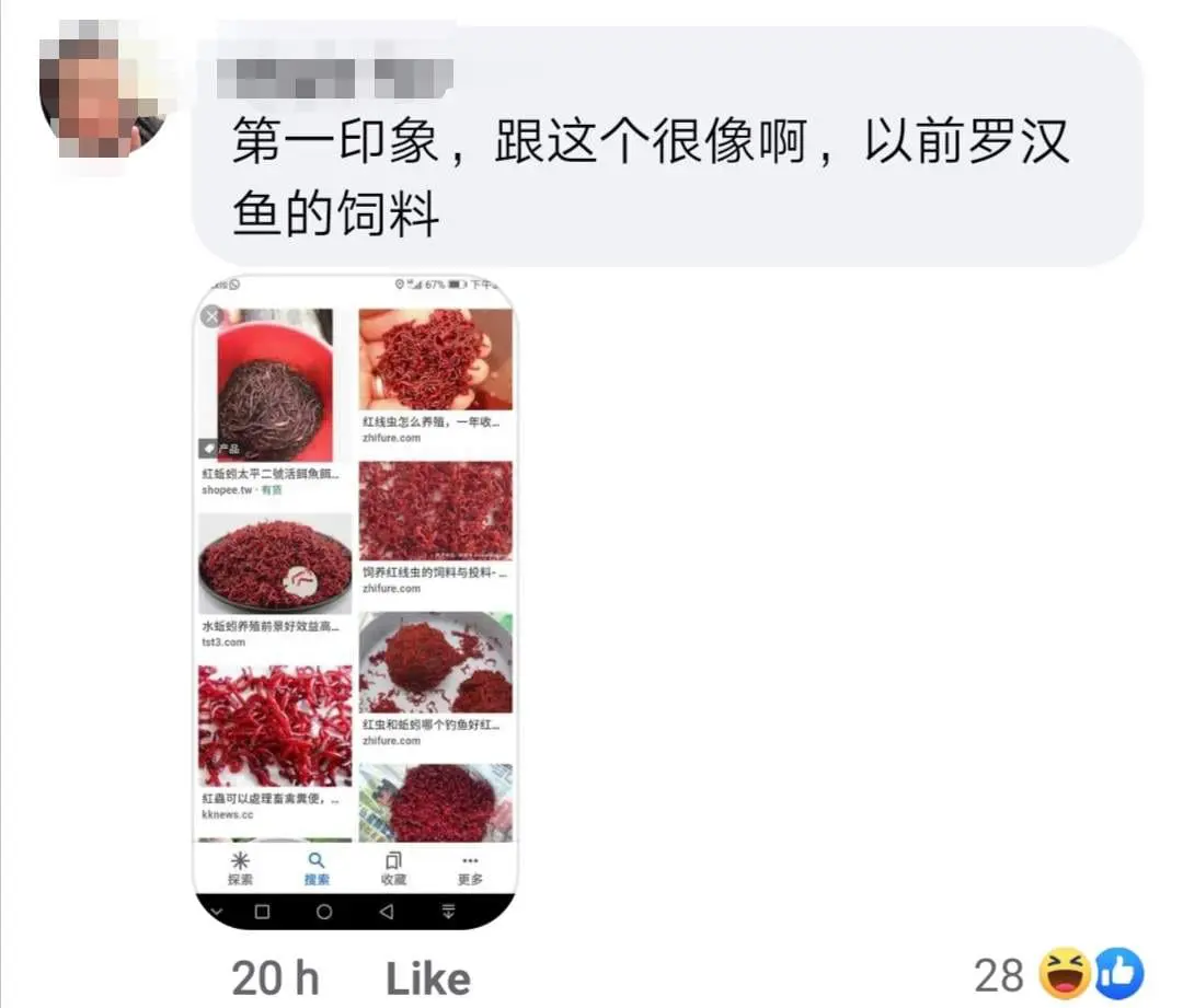 "Never again!" Malaysian left reeling in shock over reddish 'maggi goreng' in S'pore