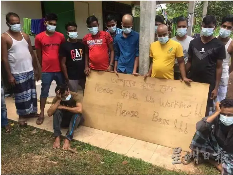 "We're going insane!" Foreign workers plead with employer to resume operations