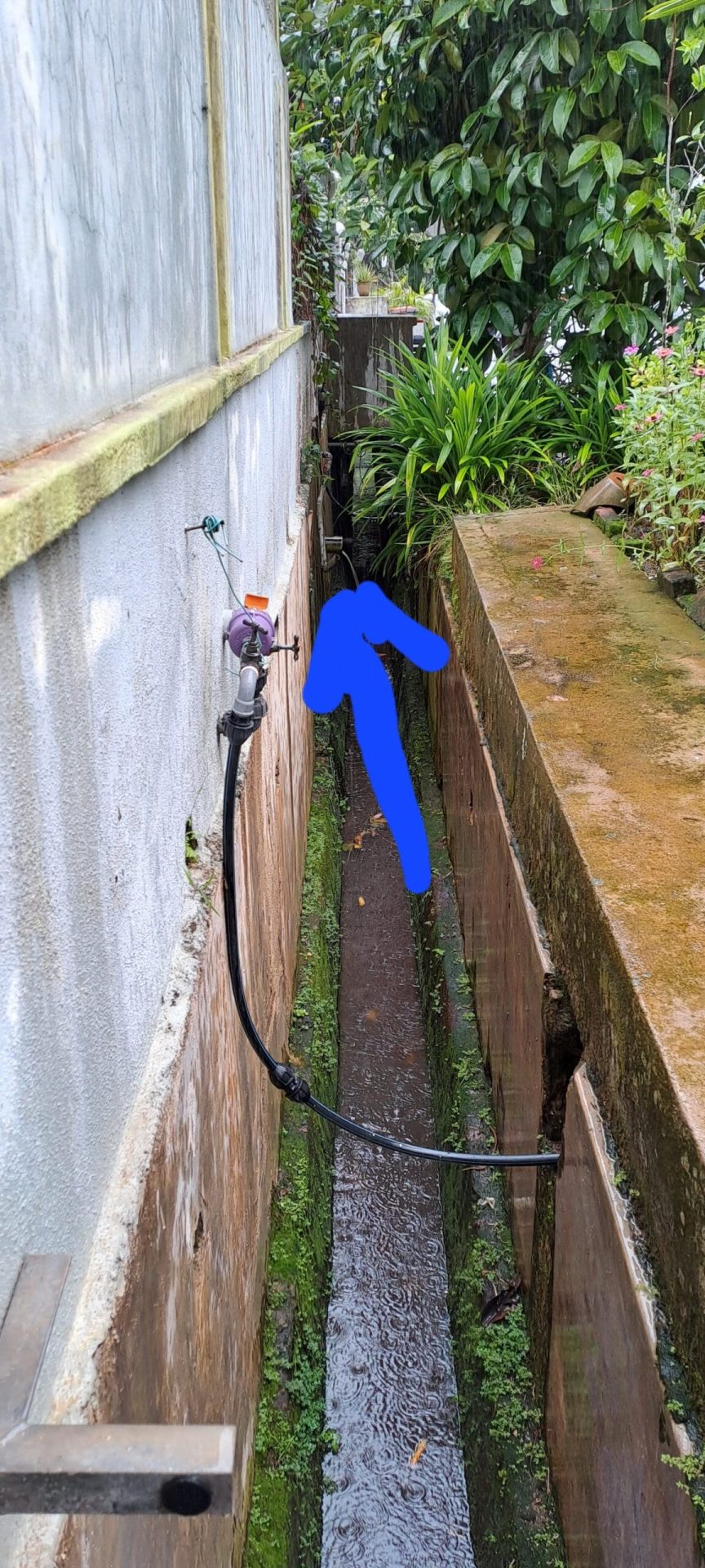 Stinky Sewage Water From Neighbour