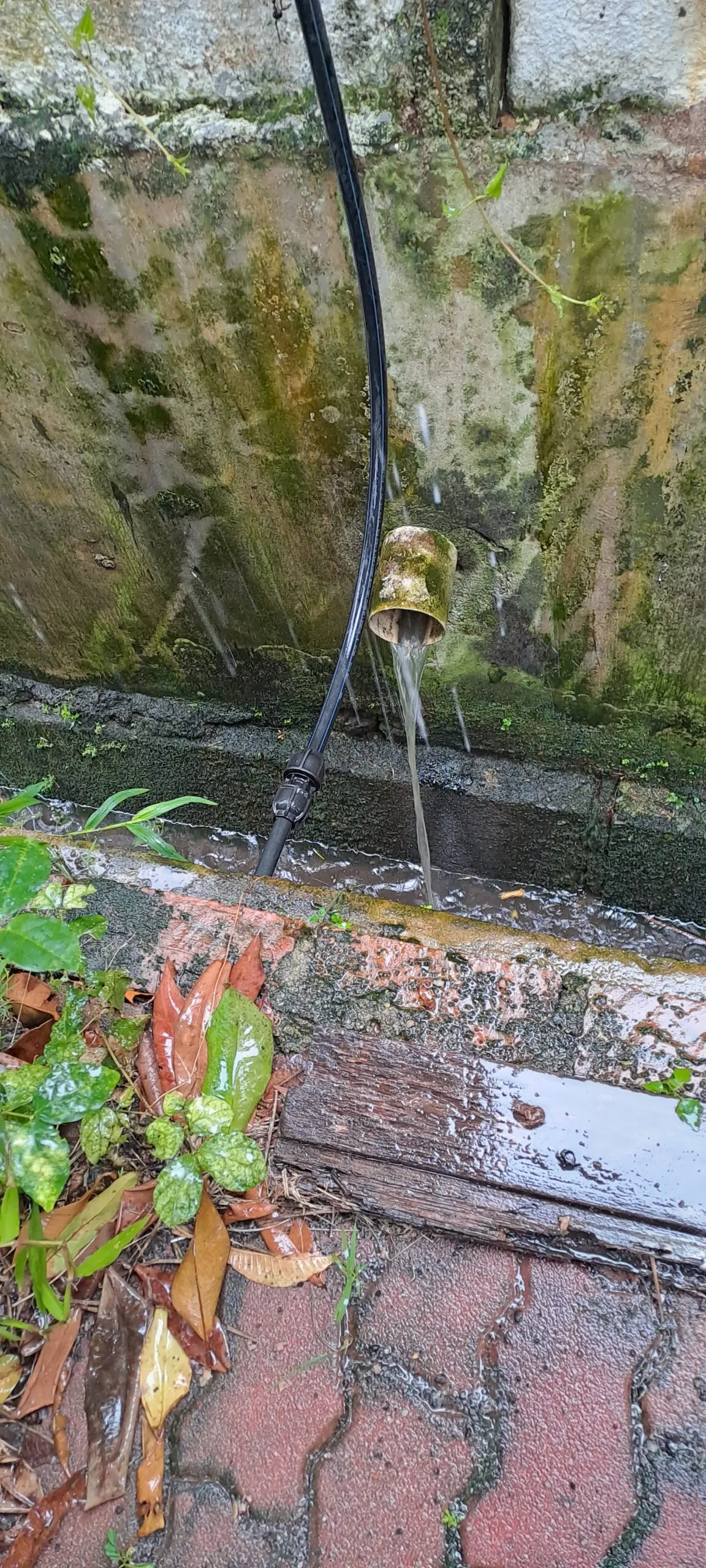 Melaka Woman Calls For Action To Be Taken After Tolerating 18 Years Of Stinky Sewage Water From Neighbour's House