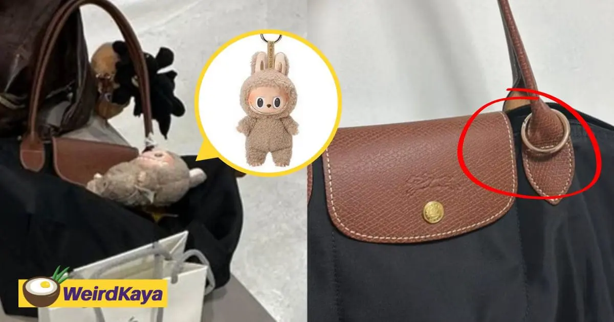 "Stealing Toys Now?"- S'pore Student's Viral Labubu Plush Stolen From Her Bag While Shopping