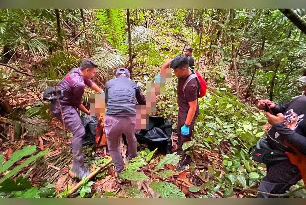 body of Indonesian man found at rubber plantation in Kelantan
