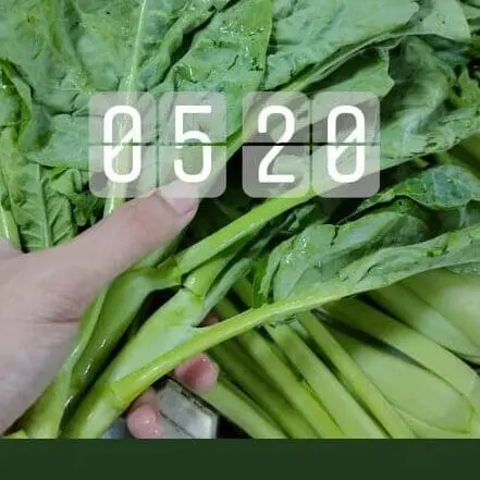 24yo Johorian shares why he chose to become a veggie seller at Pasar after graduating from uni