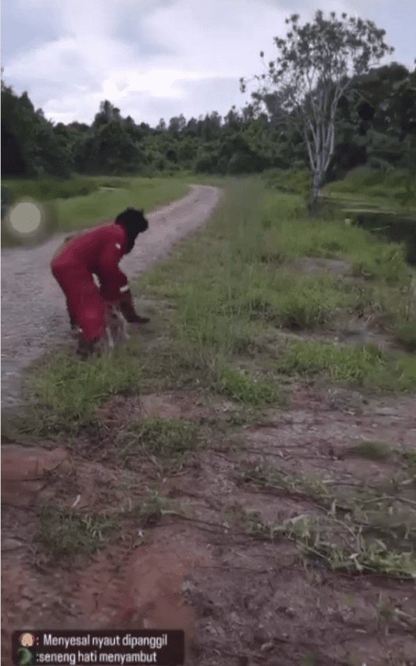 3 Men Throw Stray Dog Into Crocodile-Fested River For Stealing Their Food 1