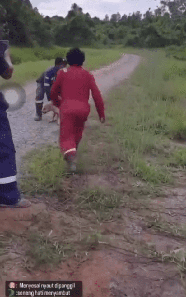 3 Men Throw Stray Dog Into Crocodile-Fested River For Stealing Their Food 3