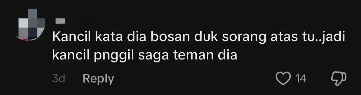 M'sians Stunned To See Kancil And Saga Parked On Top Of House Roof In Kedah comment 3