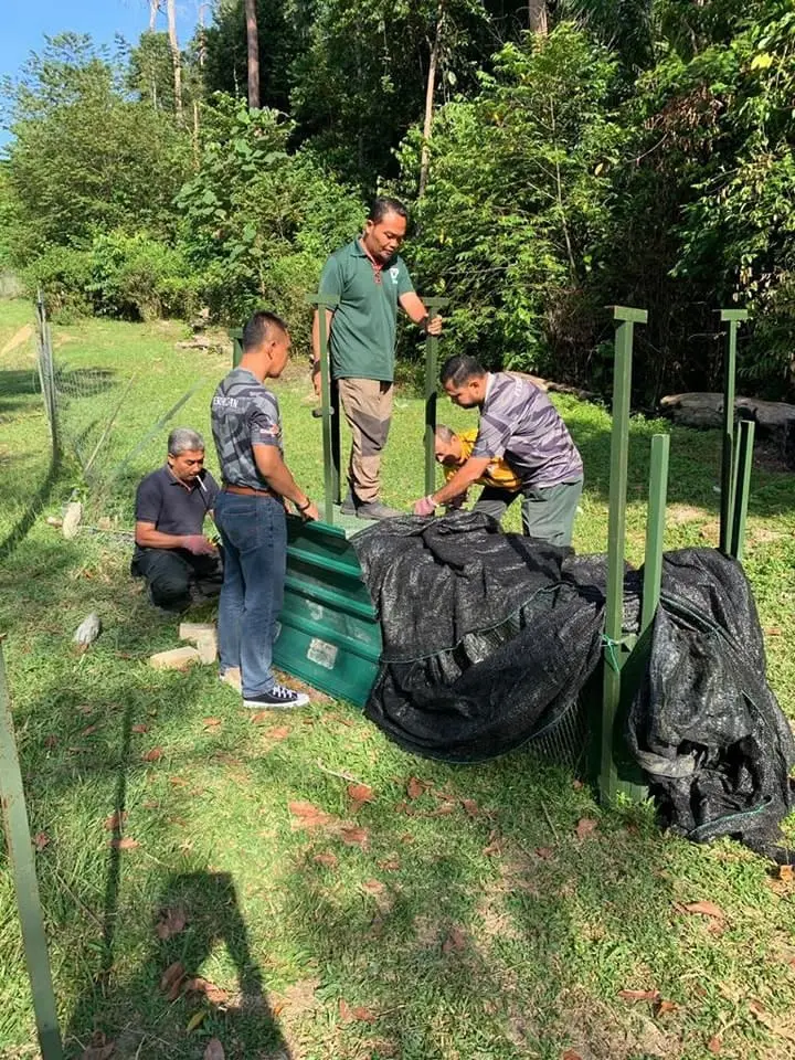 The authorities check the cage before luring the panther inside it.