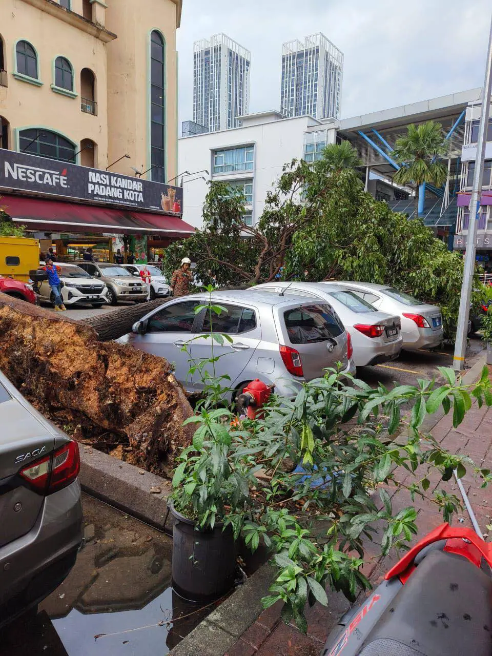 tree falls on 5  cars that was parked