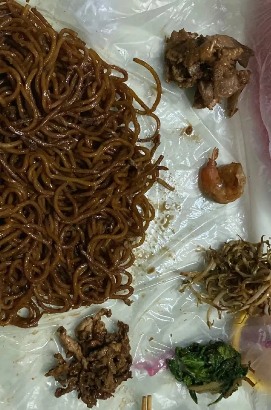 Msian removed and arranged all the ingredients in the noodles according to their category.