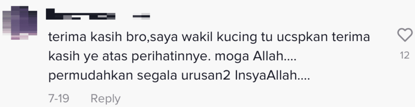[VIDEO] Sailor Praised For Jumping Into Sea To Save Cat Trapped On Ship's Bow