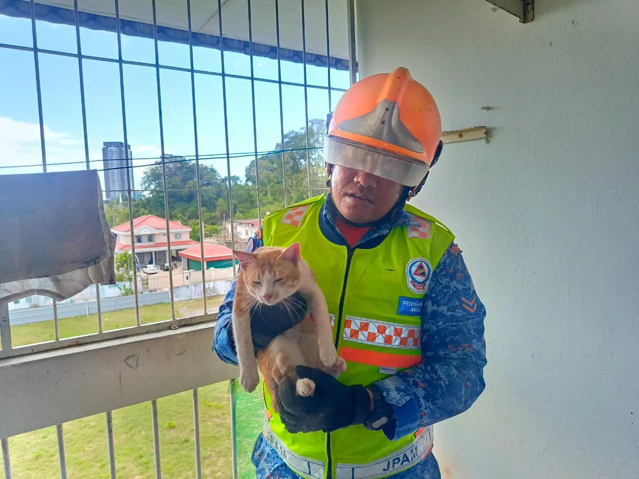 APM Kota Kinabalu and Oyen